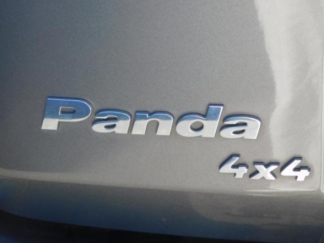 Fiat Panda 4x4 image 5