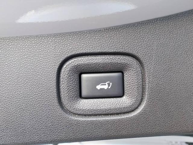 Renault Koleos image 1