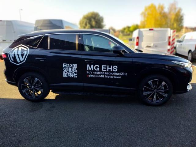 Mg Ehs image 2