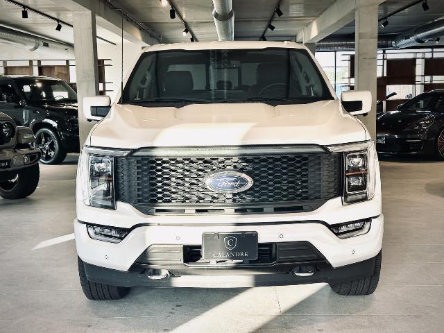 Ford F 150 image 1