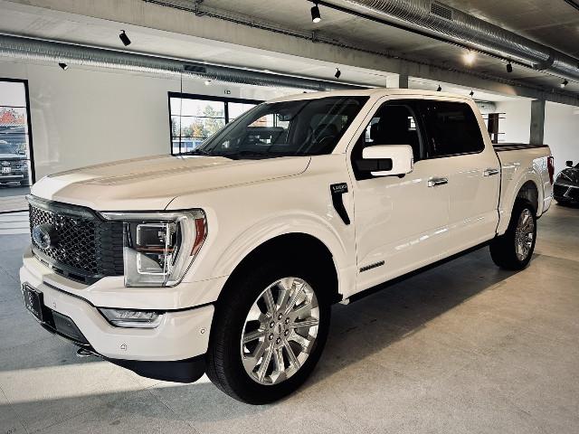 Ford F 150 image 2