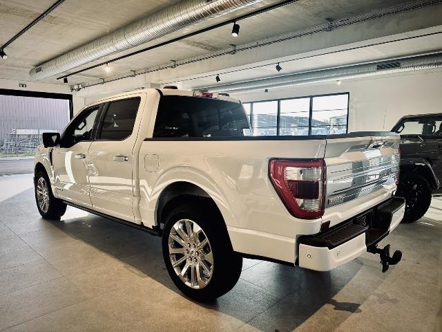 Ford F 150 image 8