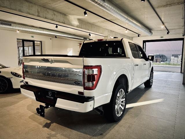 Ford F 150 image 3