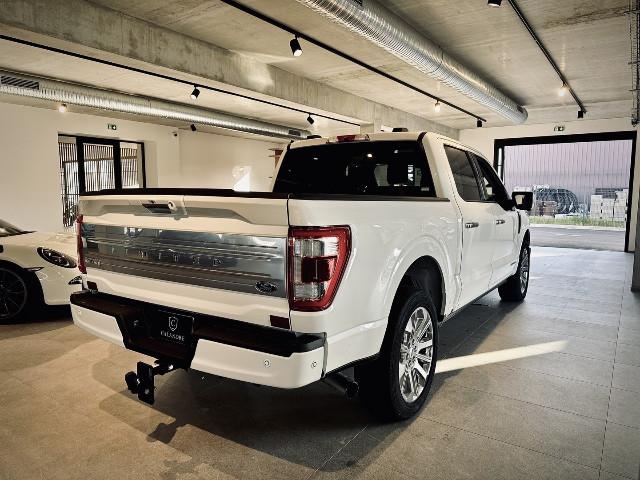 F 150 image 3