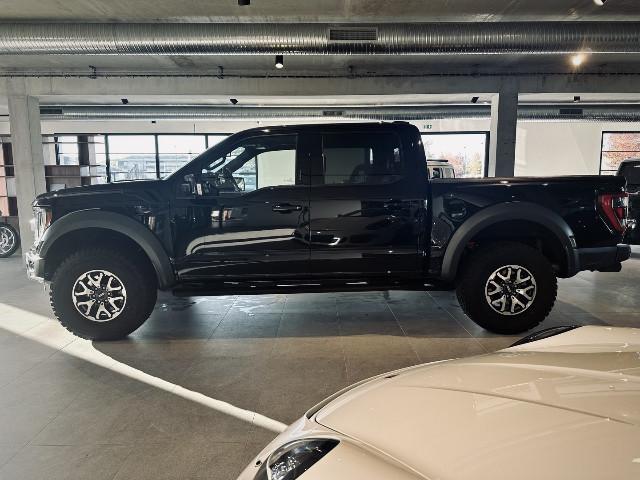 Ford F 150 image 1
