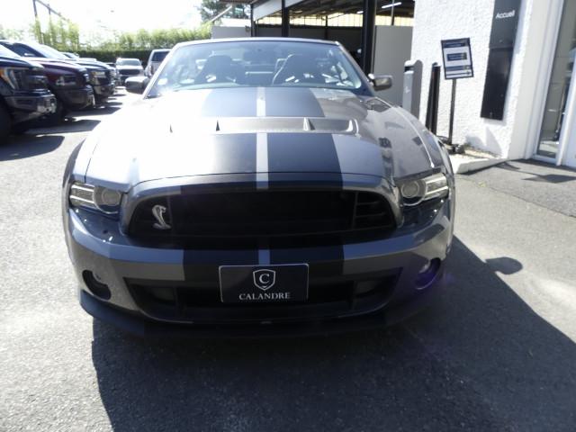 Ford Mustang image 1