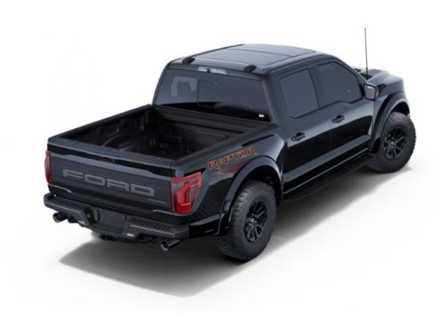 Ford F 150 image 2