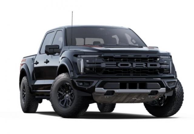 Ford F 150 image 3