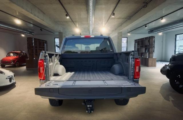 Ford F 150 image 7