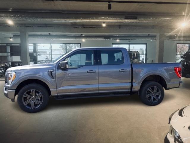 Ford F 150 image 6