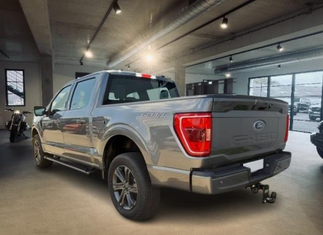 Ford F 150 image 9
