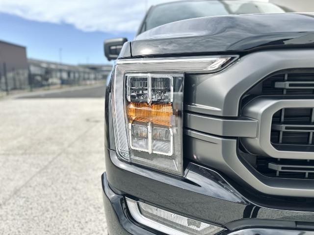 Ford F 150 image 9