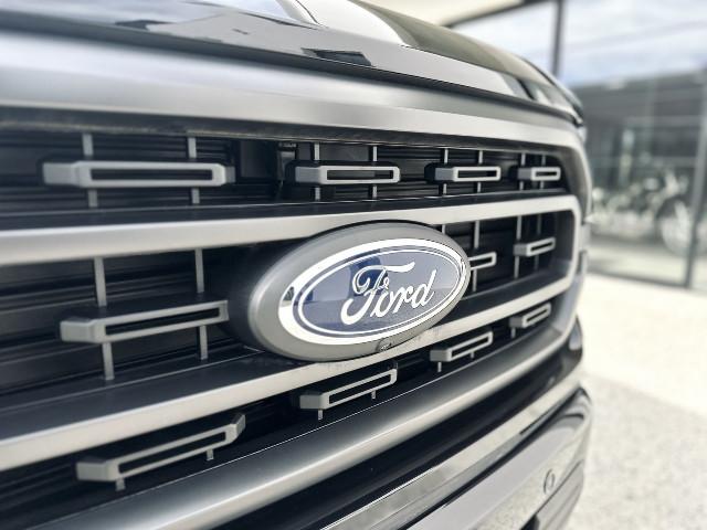 Ford F 150 image 8