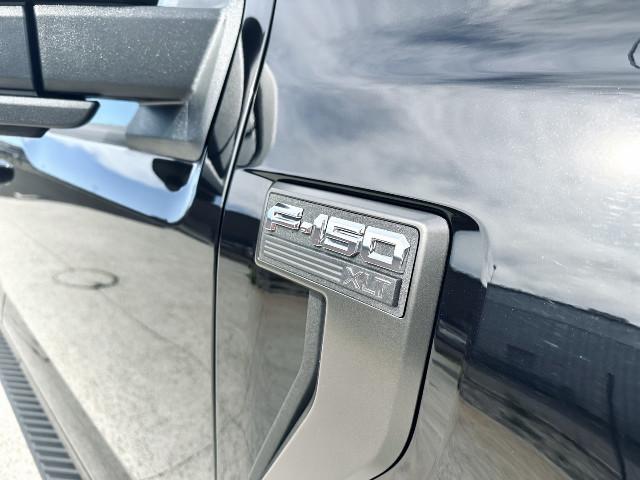 Ford F 150 image 4