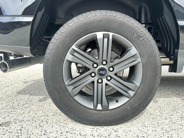 Ford F 150 image 1