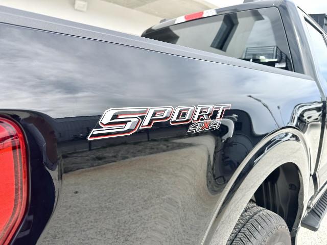 Ford F 150 image 5