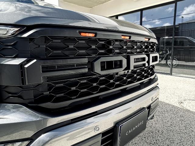 Ford F 150 image 6