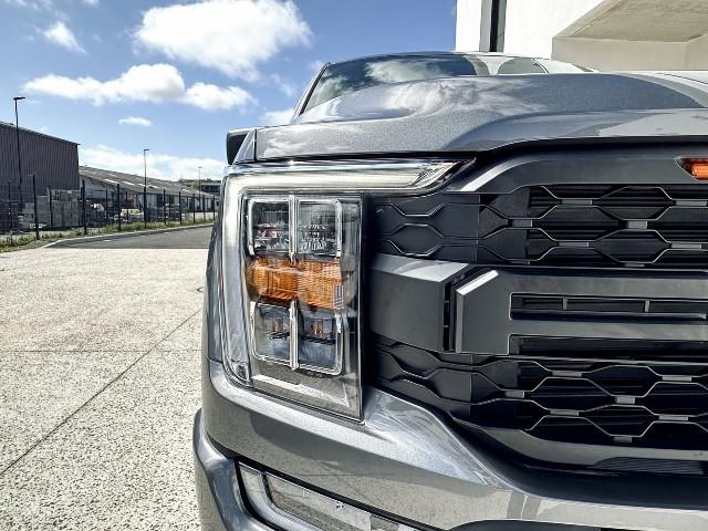 Ford F 150 image 2
