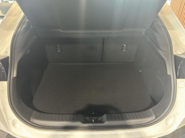Mazda Mx-30 image 1