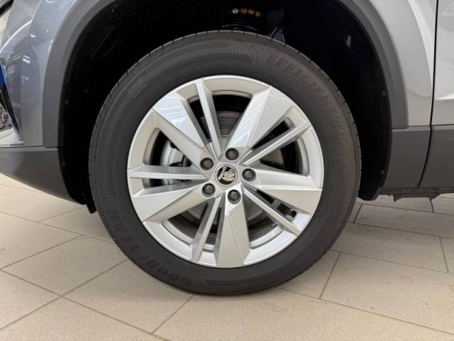 Skoda Karoq image 1