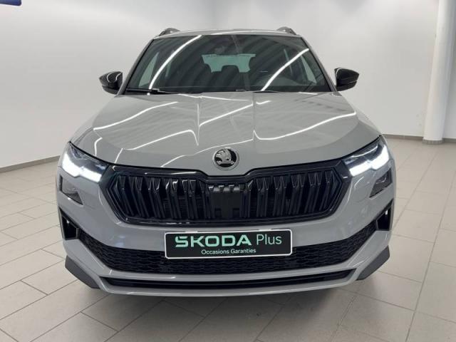 Skoda Karoq image 1