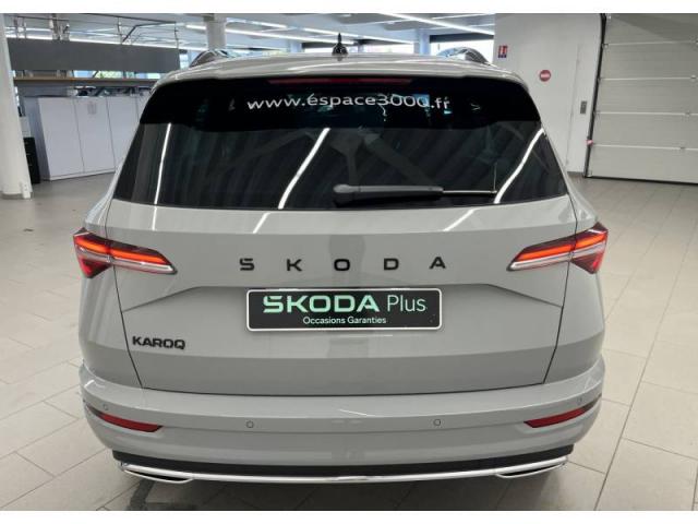 Skoda Karoq image 3