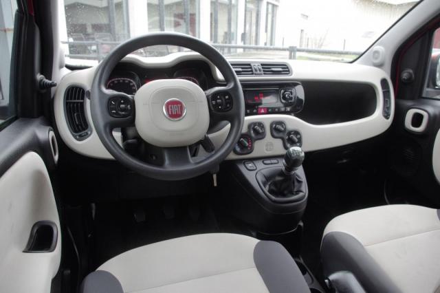 Fiat Panda image 3