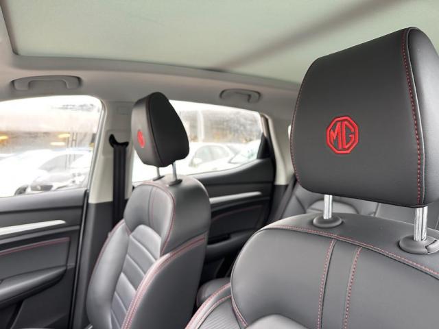 Mg Zs image 9