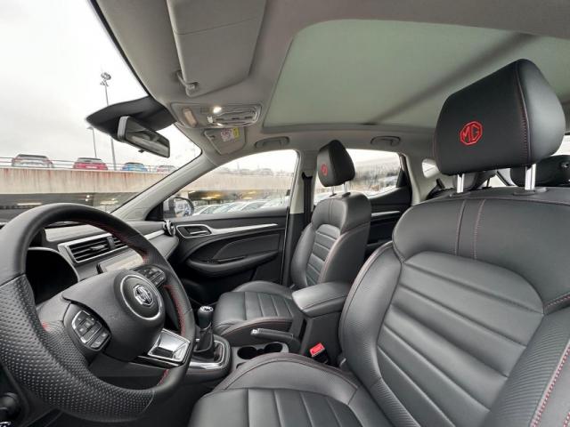 Mg Zs image 5