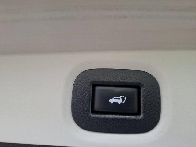 Nissan X-Trail image 2