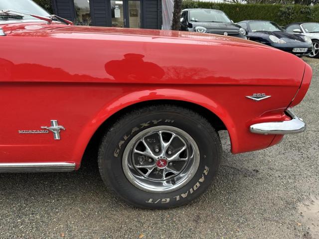 Ford Mustang image 5