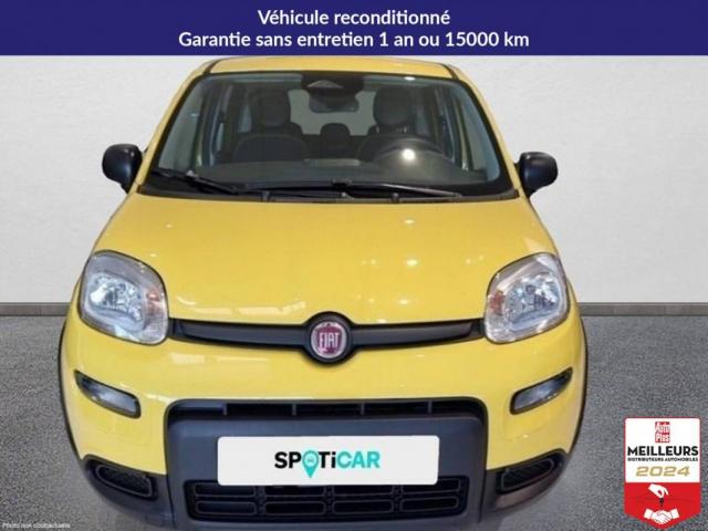 Fiat Panda image 3