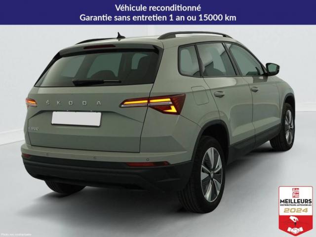 Skoda Karoq image 1