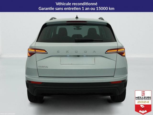 Skoda Karoq image 1