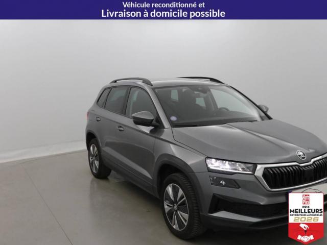 Skoda Karoq image 2