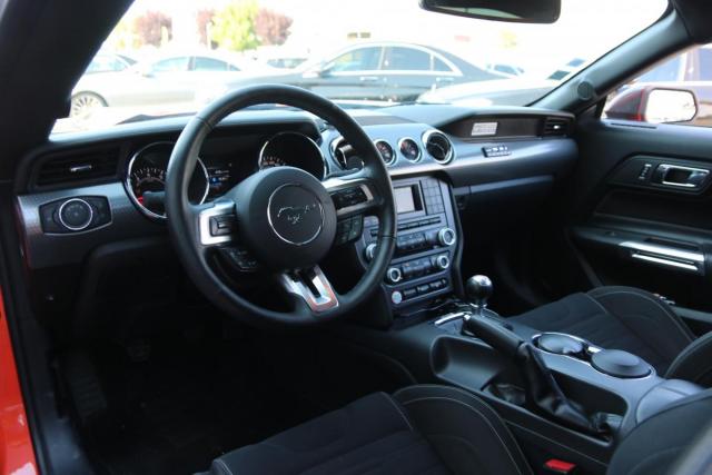 Ford Mustang image 9