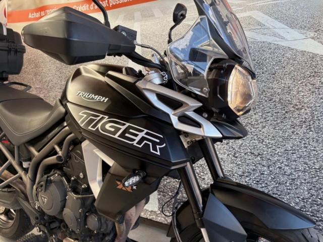 Tiger 800 Xrx - Tiger 800 - 800 Tiger Xrx image 4