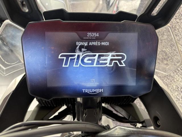 Tiger 900 Rally Pro image 4
