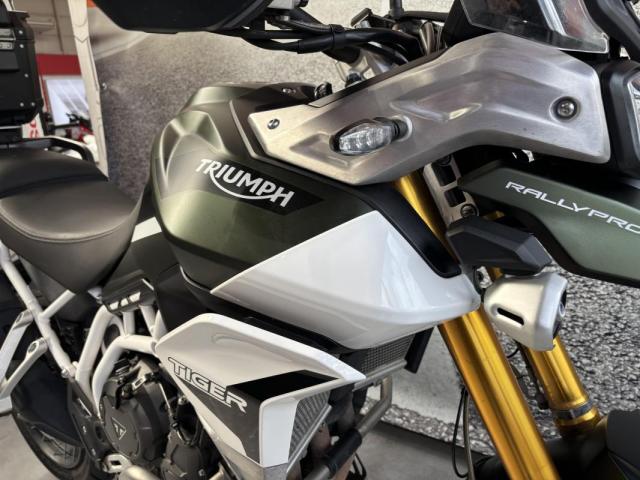 Tiger 900 Rally Pro image 2