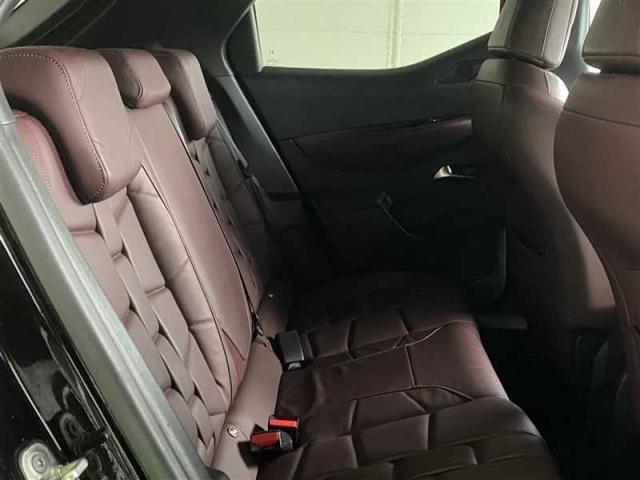 Ds Ds 3 Crossback image 6