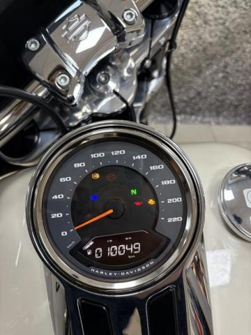 Harley Davidson Softail image 1