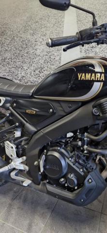 Yamaha Xsr 125 image 4