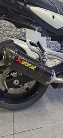 Svf Gladius 650 image 1