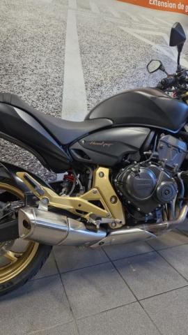 Cb 600 F Hornet 600 Hornet image 1
