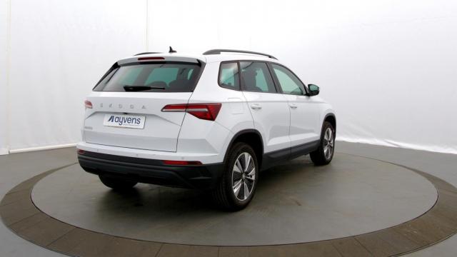 Skoda Karoq image 1