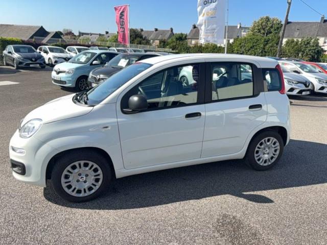 Fiat Panda image 9