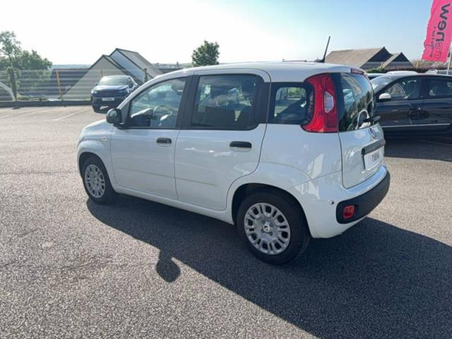 Fiat Panda image 6