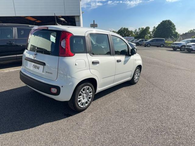 Fiat Panda image 7