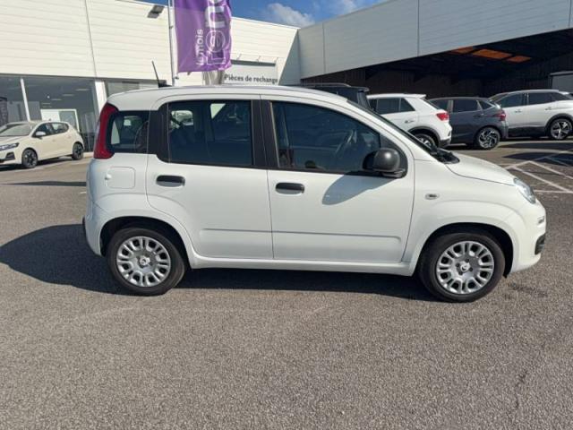Fiat Panda image 2
