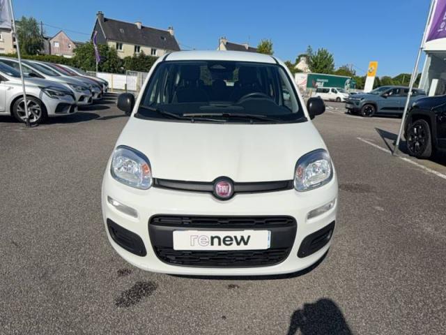 Fiat Panda image 5